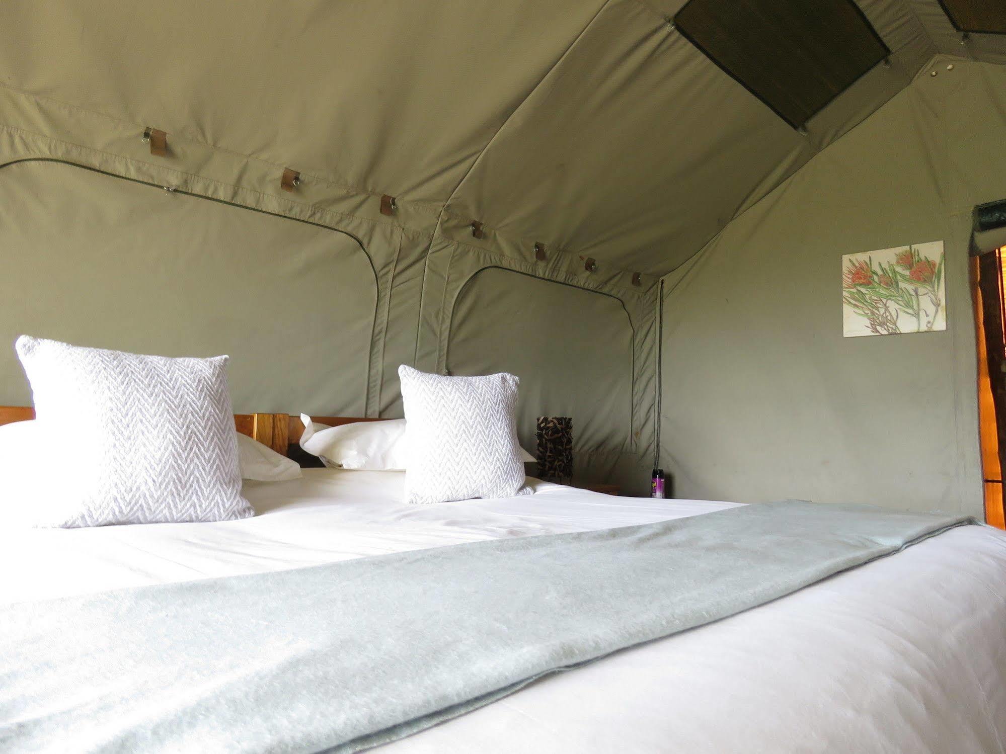 Woodbury Tented Camp - Амакала-Ґейм-Резерв Екстер'єр фото