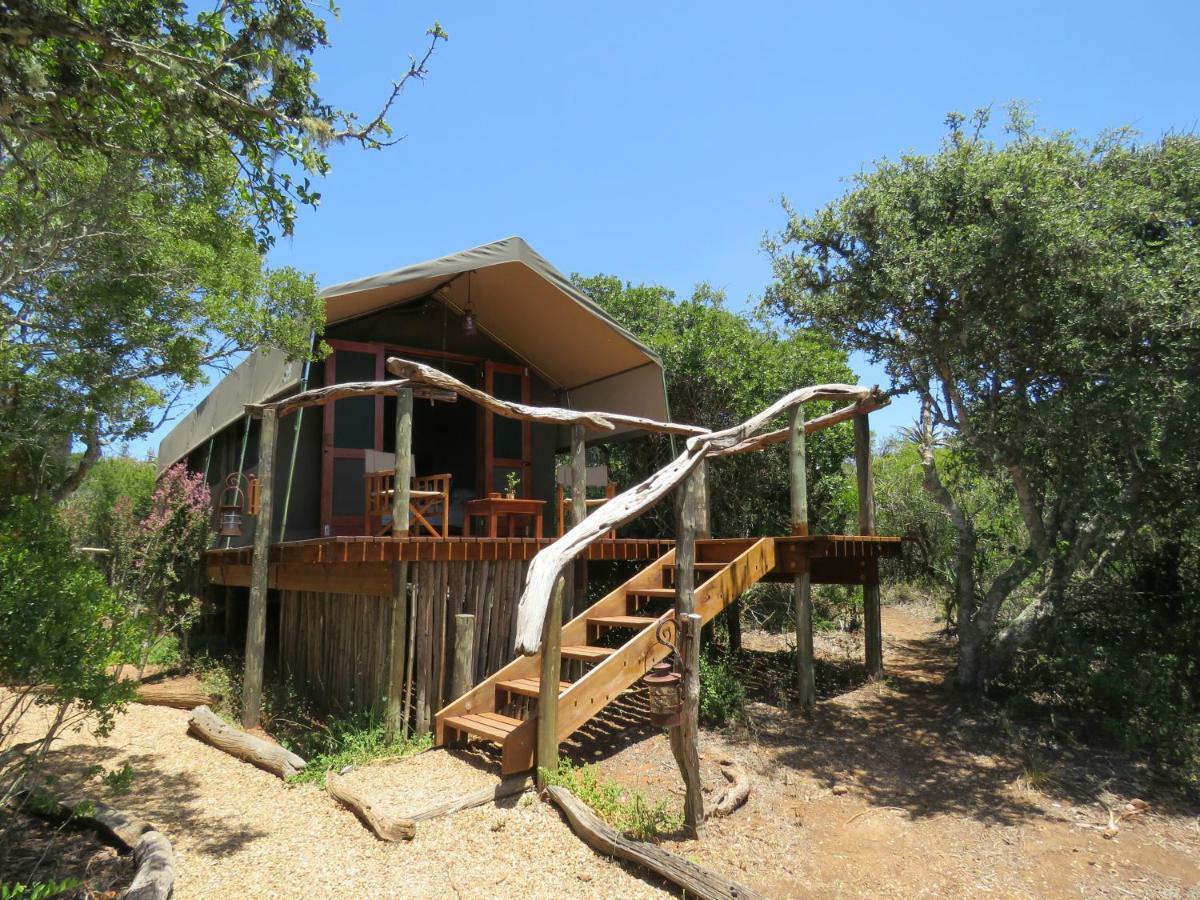 Woodbury Tented Camp - Амакала-Ґейм-Резерв Екстер'єр фото